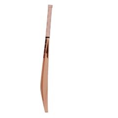 SS  KW0189 SS Soft Pro Player Scoop with Fiber Kashmir Willow Cricket Bats (Size: Short Handle)