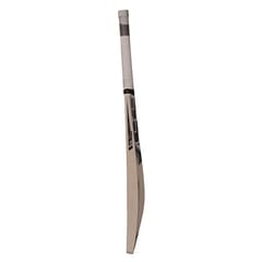 SS Power Kashmir Willow Cricket Bat - SH