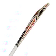 SS Master Kashmir Willow Cricket Bat
