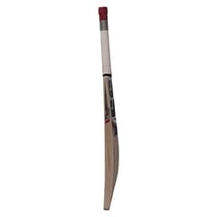SS 281 কাশ্মীর উইলো ক্রিকেট ব্যাট