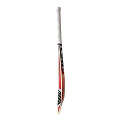 SS TON SUPER Kashmir Willow Cricket Bat -SH