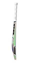 SS Master 100 Kashmir Willow Cricket Bat - SH