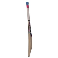 SS Slogger Kashmir Willow Cricket Bat-SH