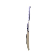 SS SKY (Players) Kashmir Willow Cricket Bat-SH