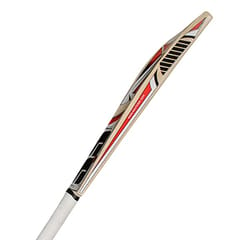 SS Master Kashmir Willow Cricket Bat - sh