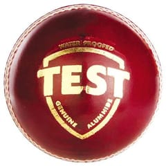 SG ٹیسٹ چمڑے کی گیند (سرخ)