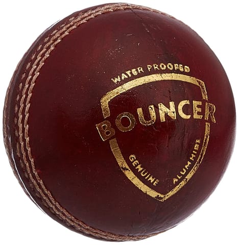 SG Bouncer Leather Ball