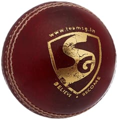 SG Bouncer Leather Ball