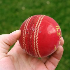 Vicky Googly Leather Cricket Ball, 1Pc (Red)