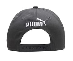 پوما یونیسیکس کی ٹوپی (2431201_Cool ڈارک گرے-سیاہ-سرخ-ڈینڈیلین