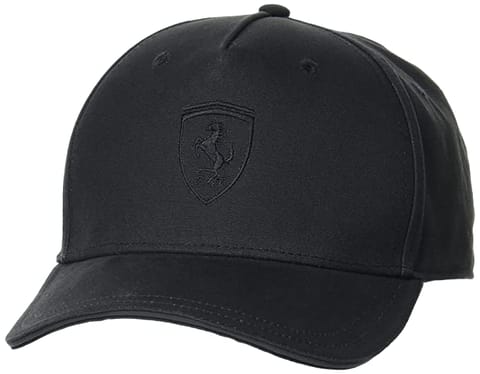 Puma Unisex's Cap (2372001 Black_Free Size)