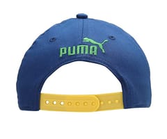 Puma Unisex&#39;s Cap (2431204_Limoges-Classic Green-dandelion