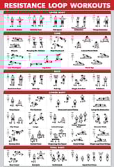 Cougar Super Loop Exercise Bands for Squats, Hips, Legs, Butt, Glutes and Heavy Workouts Physical Therapy, Stretching, Home Fitness, Heavy