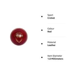 एसजी क्लब क्रिकेट बॉल लेदर (लाल) मानक आकार