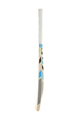 SG RSD Spark Kashmir Willow Cricket Bat for Kids