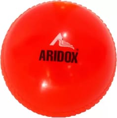 Aridox Plastic Cricket Kit Set for Kids - Size 5