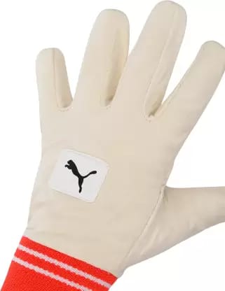 PUMA Future Wicket Keeping Inner Gloves, RH Multicolors