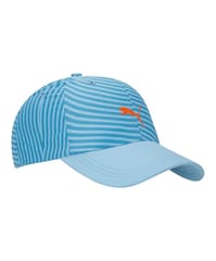 Puma World Cup Unisex-Adult Cap (2436601_Ethereal Blue_Free Size)