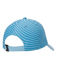 Puma World Cup Unisex-Adult Cap (2436601_Ethereal Blue_free Size)