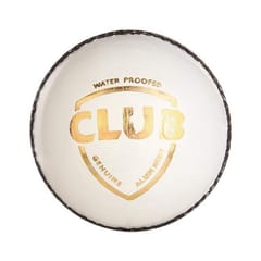 एसजी क्लब लेदर क्रिकेट बॉल (पांढरा)