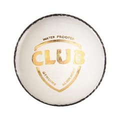 SG Club Leather Cricket Ball (White)