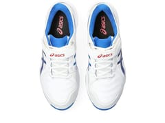 ASICS ಪುರುಷರ ಜೆಲ್ ಸ್ಪೀಡ್ ಮೆನೇಸ್ FF ಕ್ರಿಕೆಟ್ ಶೂಸ್