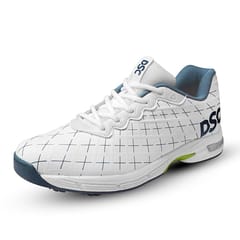 DSC Biffer 22 Cricket Shoes for Men