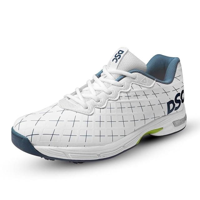 DSC Biffer 22 Cricket Shoes for Men