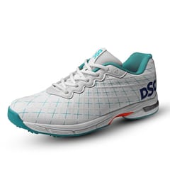 DSC Biffer 22 Cricket Shoes for Men