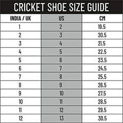 DSC Biffer 22 Cricket Shoes for Men