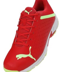 PUMA MENS  CRICKET METAL SPIKE SHOES | HIGH PERFORMANCE CRICKET BATTING BOOTS