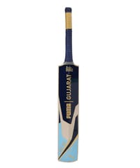 Puma Men's Gujarat JNR City Cricket Bat, Clyde Royal-Ocean Dive