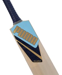 Puma Men's Gujarat JNR City Cricket Bat, Clyde Royal-Ocean Dive