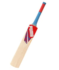 Puma Men's Delhi JNR City Cricket Bat, for All Time Red-Elektro Blue-Team Royal