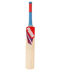 Puma Men's Delhi JNR City Cricket Bat, for All Time Red-Elektro Blue-Team Royal