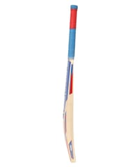 Puma Men's Delhi JNR City Cricket Bat, for All Time Red-Elektro Blue-Team Royal