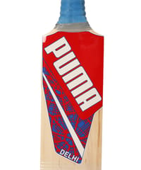 Puma Men's Delhi JNR City Cricket Bat, for All Time Red-Elektro Blue-Team Royal