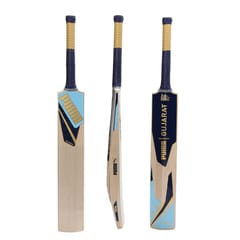 Puma Men's Gujarat JNR City Cricket Bat, Clyde Royal-Ocean Dive