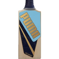 Puma Men's Gujarat JNR City Cricket Bat, Clyde Royal-Ocean Dive