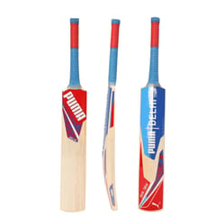 Puma Men's Delhi JNR City Cricket Bat, for All Time Red-Elektro Blue-Team Royal