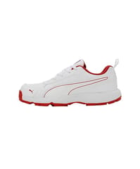 PUMA Classicat Men’s Cricket Shoes