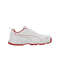 PUMA Classicat Men’s Cricket Shoes