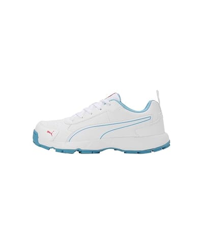 PUMA Classicat Men’s Cricket Shoes