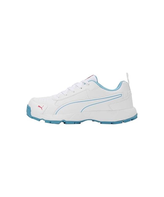 PUMA Classicat Men’s Cricket Shoes