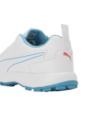 PUMA Classicat Men’s Cricket Shoes