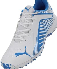 PUMA 22 FH Rubber Cricket Shoes for Men