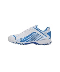 PUMA 22 FH Rubber Cricket Shoes for Men