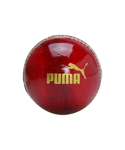 PUMA Cricket Ball – Intense Red, Size M, Model 5451901