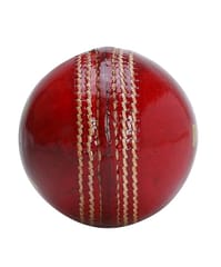 PUMA Cricket Ball – Intense Red, Size M, Model 5451901